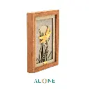 سنجاقک3.webp