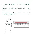 GGG1.webp