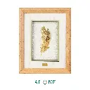 Feather Gold Artwork 